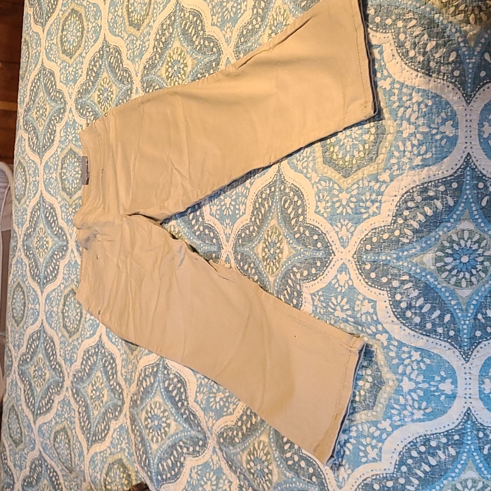 Van Huesen capri